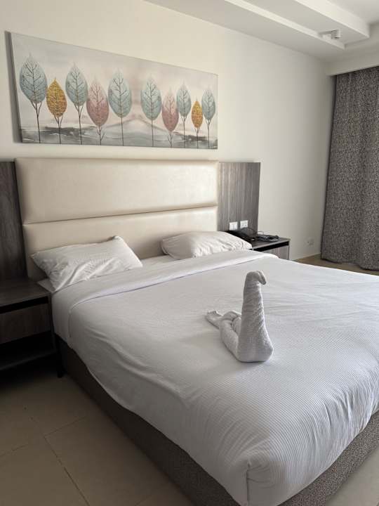 Zimmer Albatros Makadi Resort