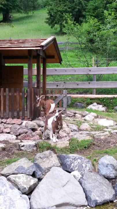 Schwänli und Bärli Oberjoch - Familux Resort