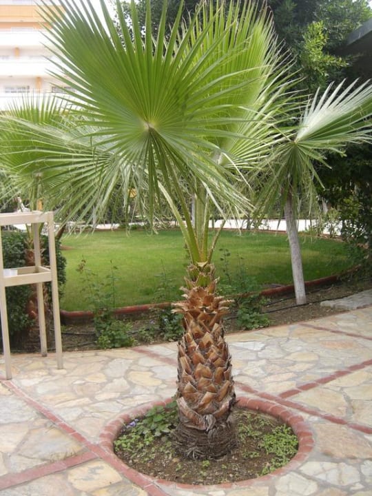 Schöner Anblick und immer alles sauber My Home Resort