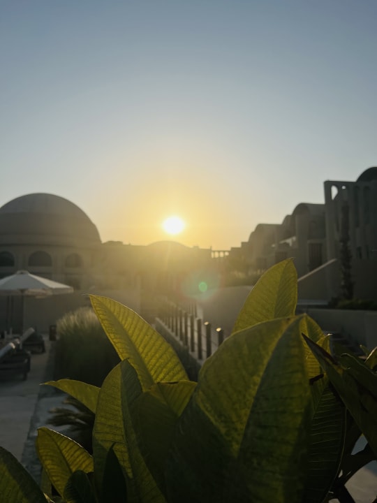 Ausblick SUNRISE Anjum Resort Marsa Alam