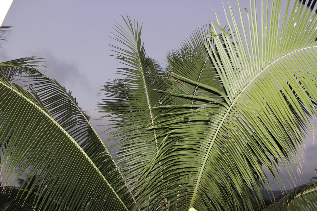 Toll Buri Rasa Village Phangan