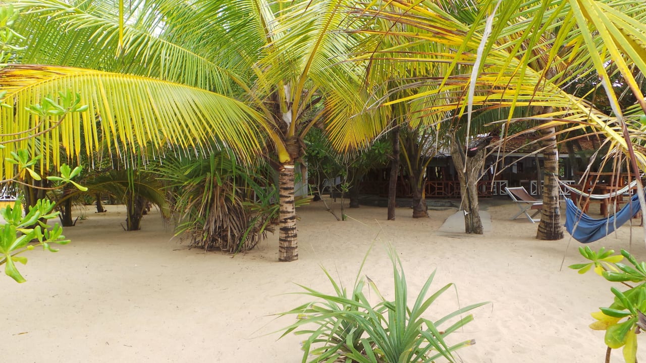 Üppig bepflanzter Garten Ibis Guesthouse