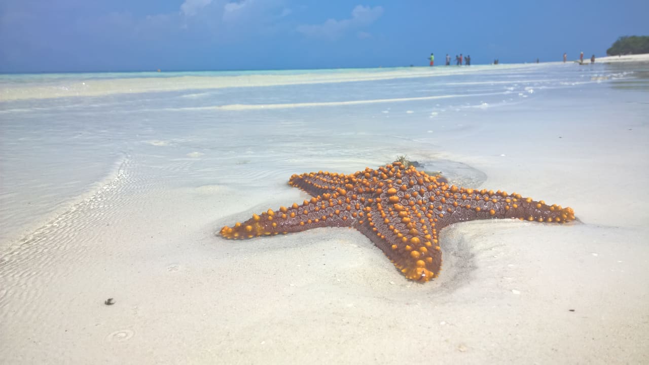 Strand Royal Zanzibar Beach Resort