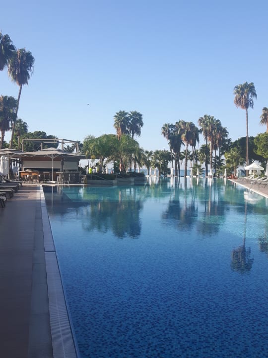 Pool Acanthus Cennet Barut Collection