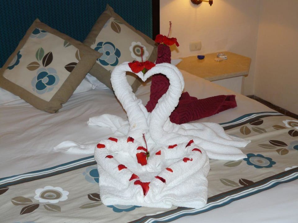 Decokünstler Pickalbatros Citadel Resort