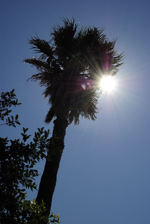 Griechenlands Sonne Ilios K Village Resort