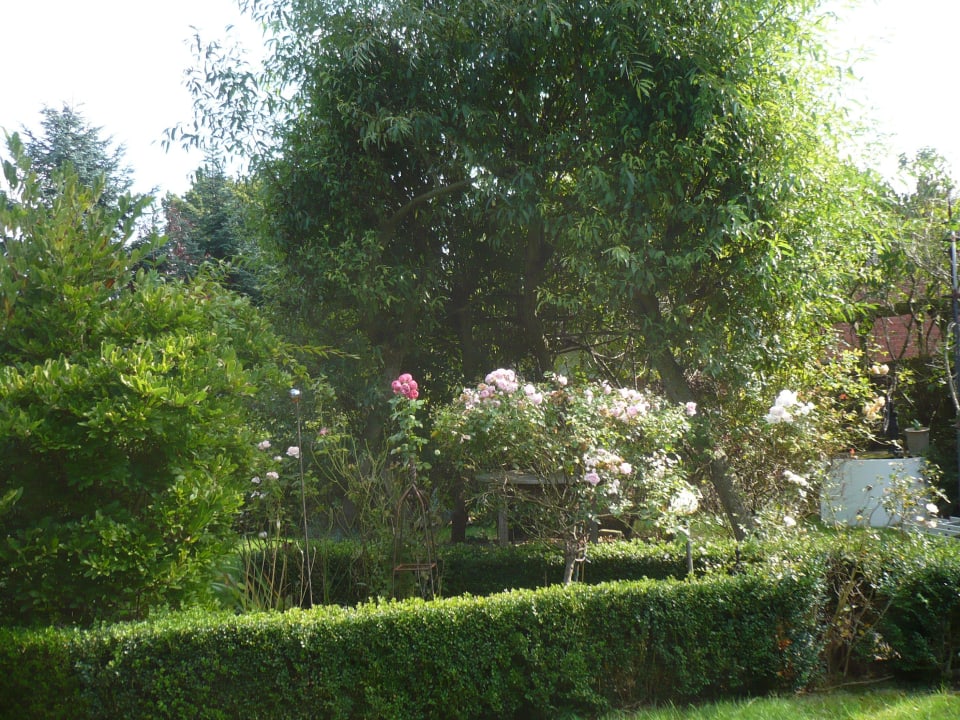 Garten mit englischen Rosen Ferienhaus Eden