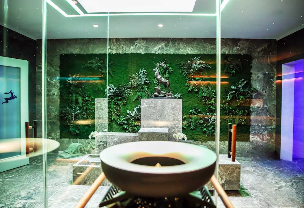 Sonstiges Ringhotel Weißer Hirsch