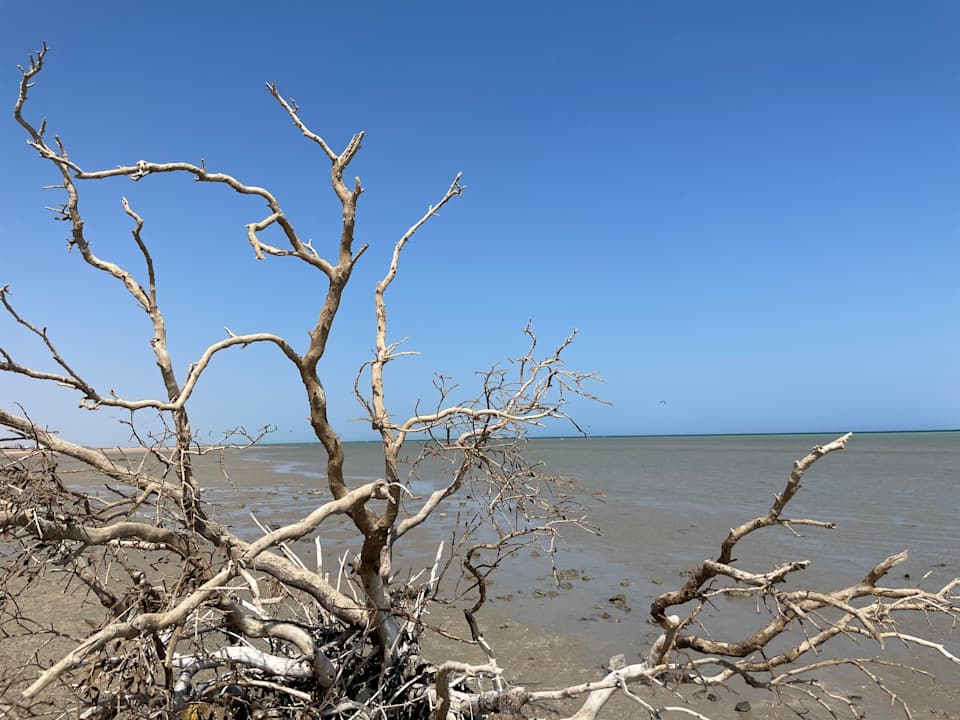 Strand Doubletree By Hilton Mangroovy El Gouna Resort