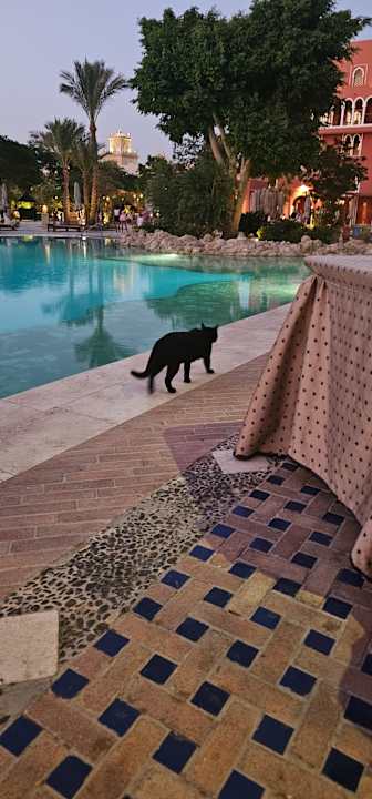 Pool The Grand Resort