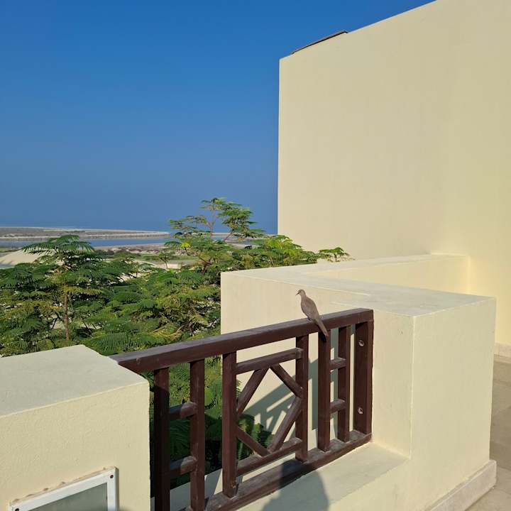 Ausblick The Cove Rotana Resort