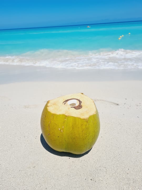 Strand Hotel Roc Barlovento
