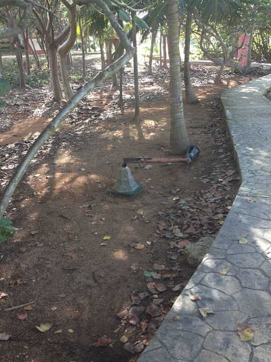 2.Teilabschnitt Strandweg - rechts Playa Vista Azul