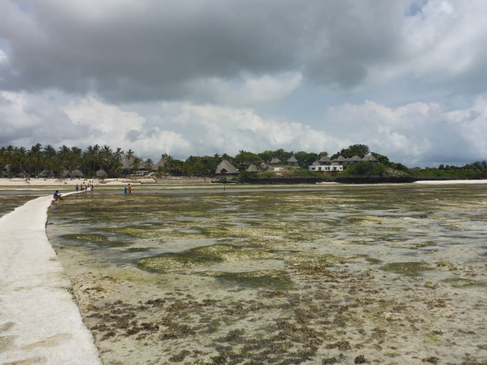 Strand Karafuu Beach Resort & Spa