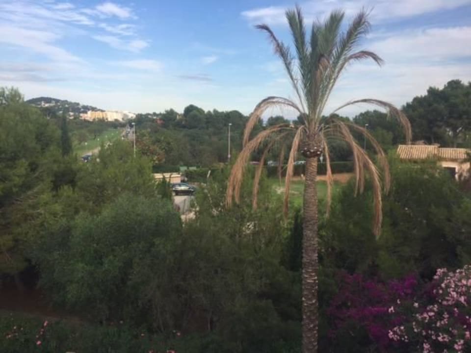 Ausblick 3 The St. Regis Mardavall Mallorca Resort