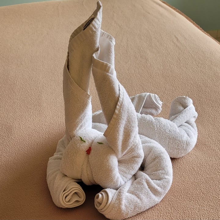 Zimmer Playa Cayo Santa Maria