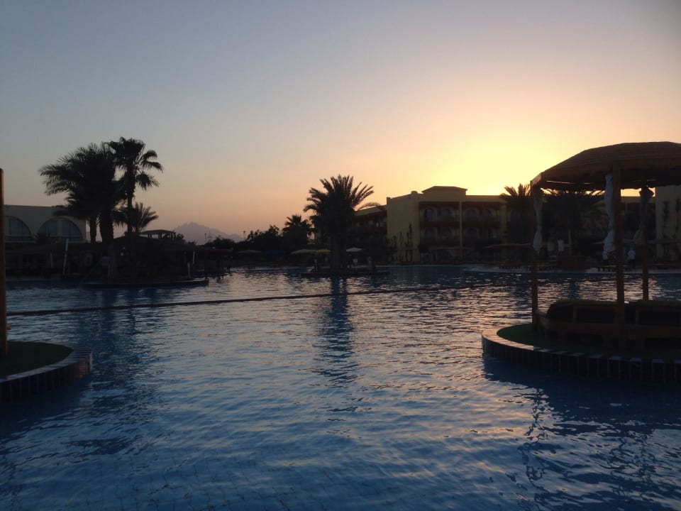 Pool bei Sonnenuntergang  Desert Rose