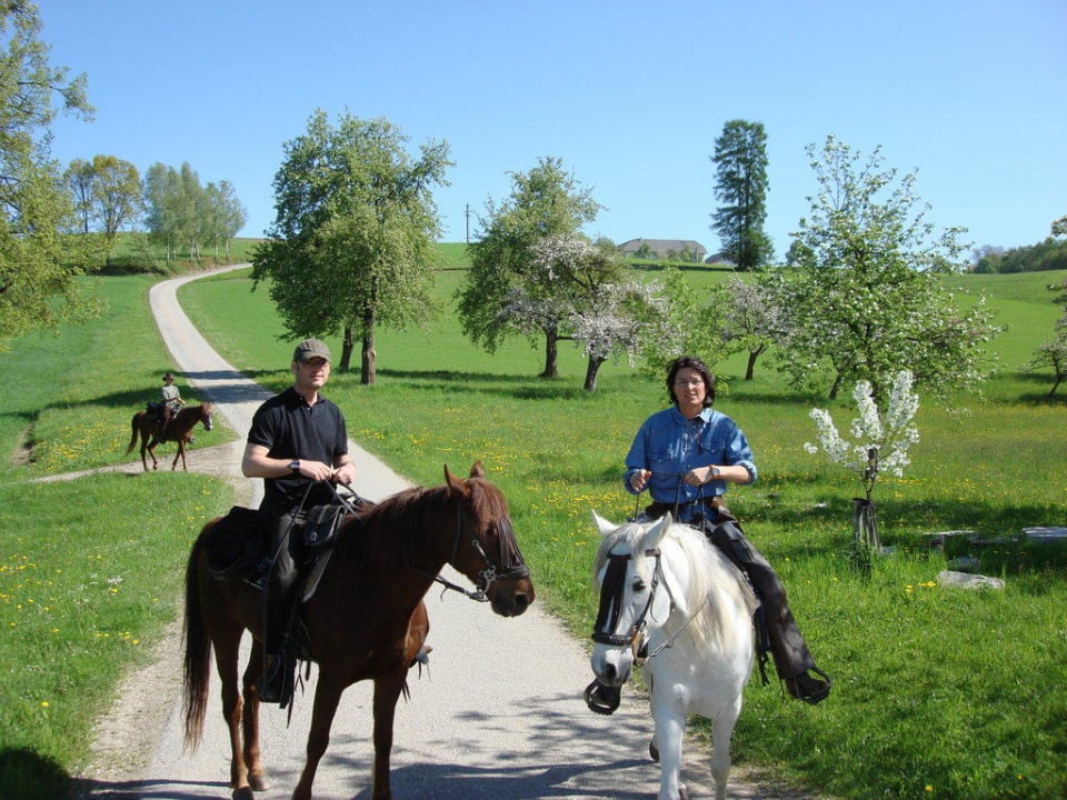 Wanderritt Waxenberg Wanderreithof Lackner z'Stoabach