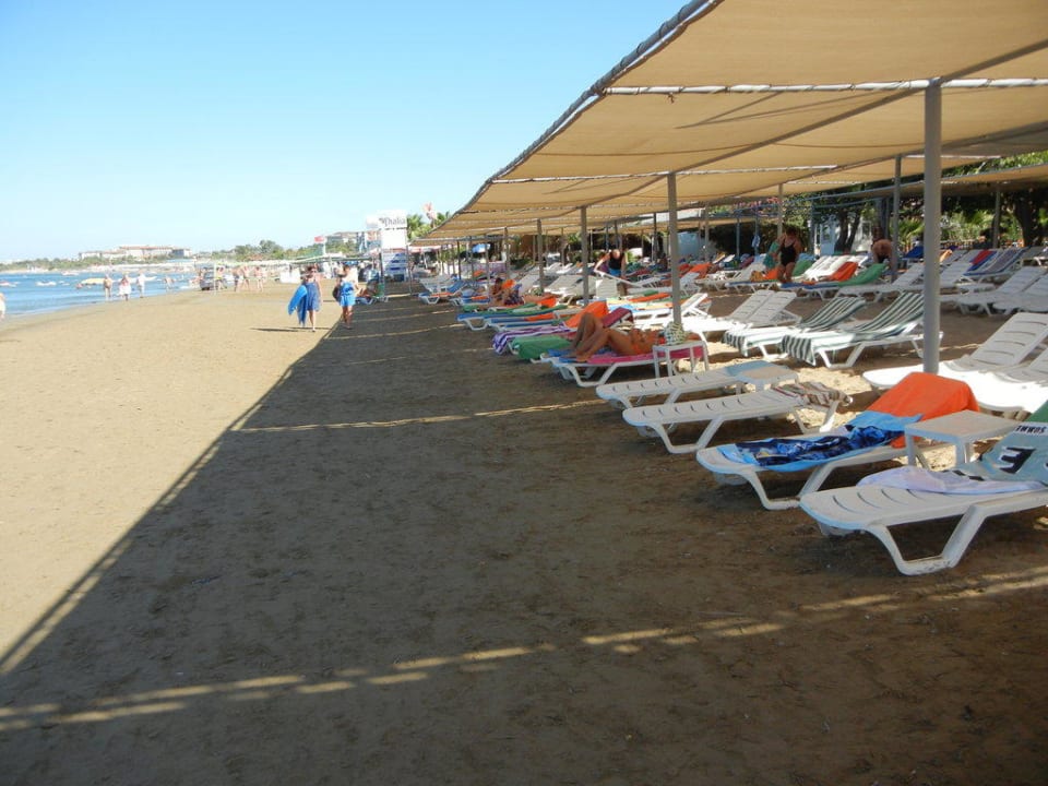 Der Hotelstrand mit Liegen Hotel Thalia Unique