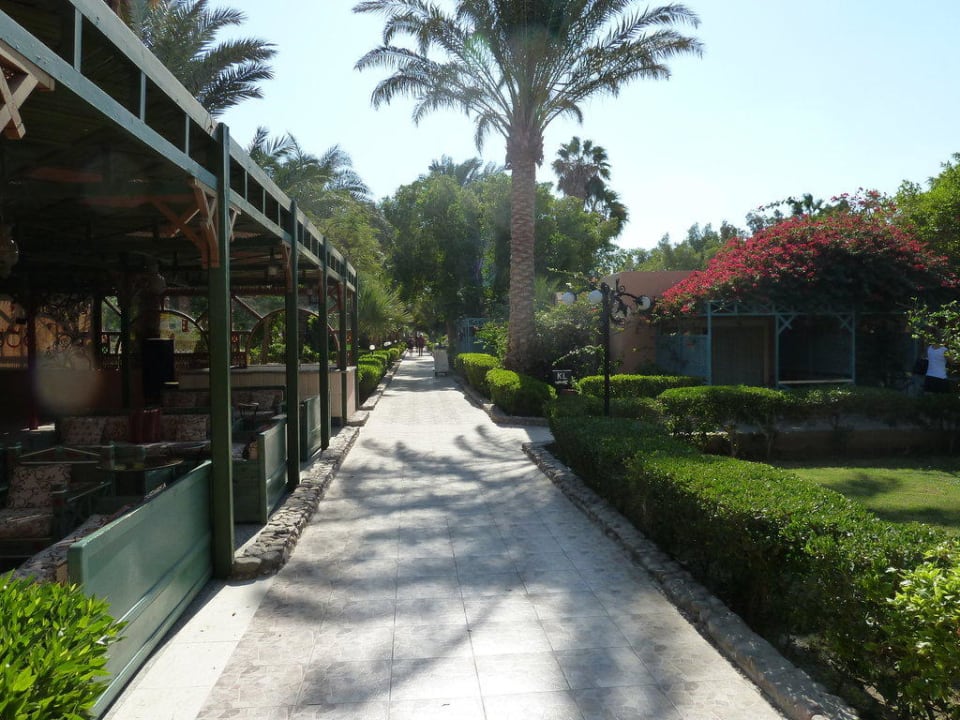 Gartenanlage Giftun Azur Resort