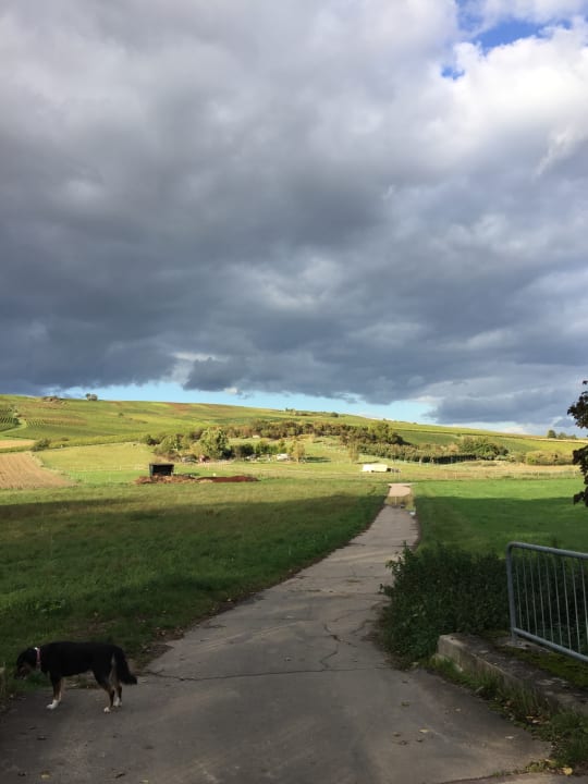 Ausblick Gästehaus Hochmann Stadecken