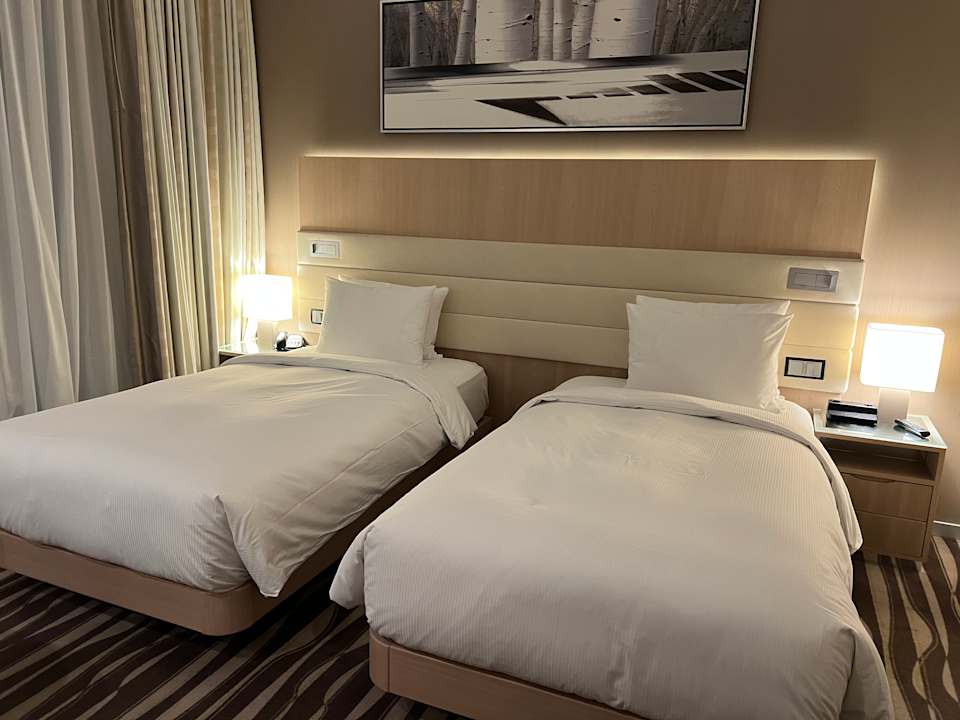 Zimmer Hilton Frankfurt Airport