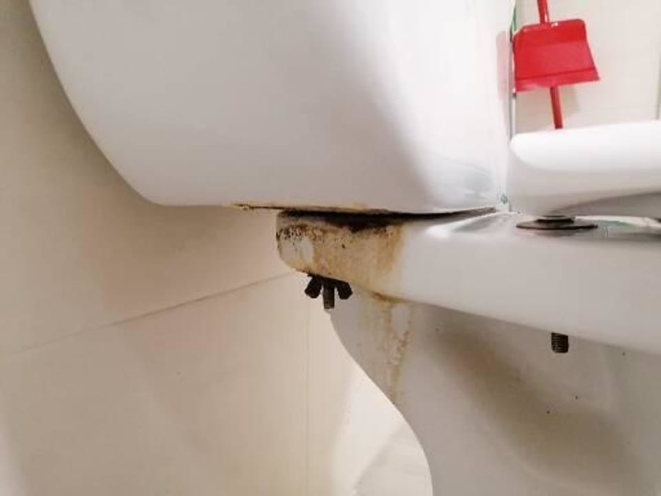 Zimmer Alcudia Garden Aparthotel