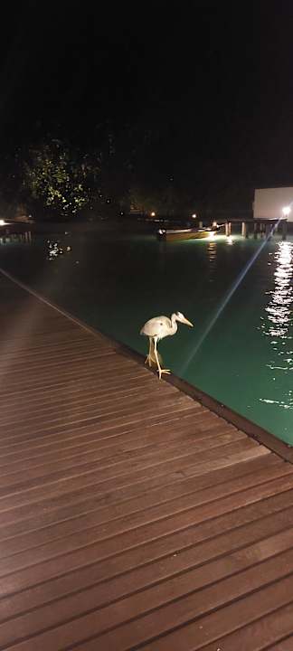 Außenansicht Embudu Village