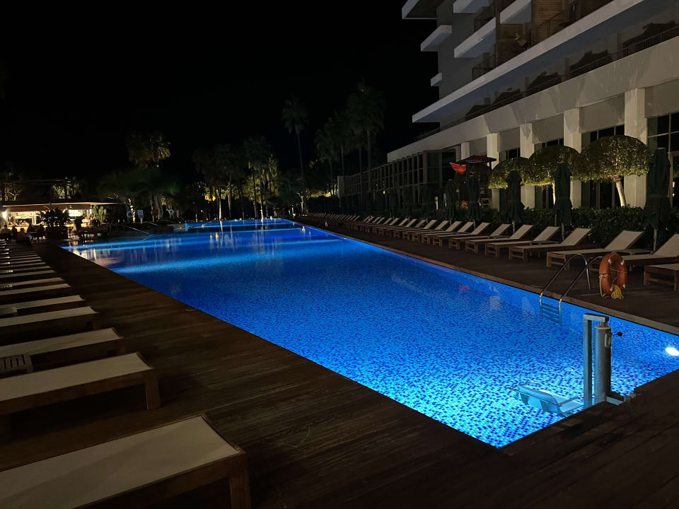 Pool Acanthus Cennet Barut Collection