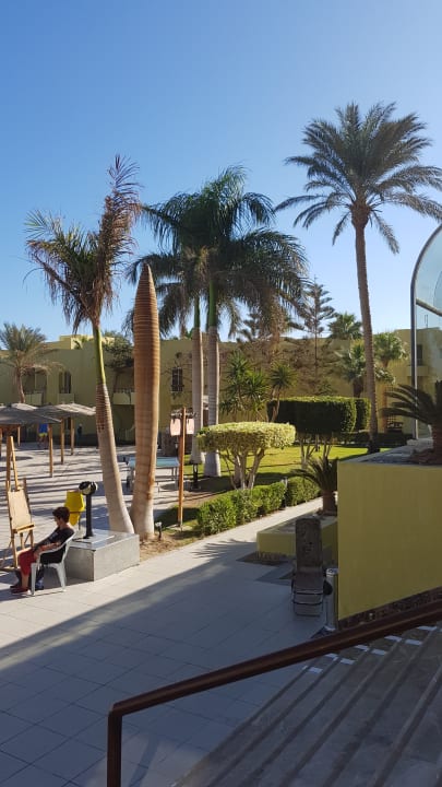 Gartenanlage Palm Beach Resort