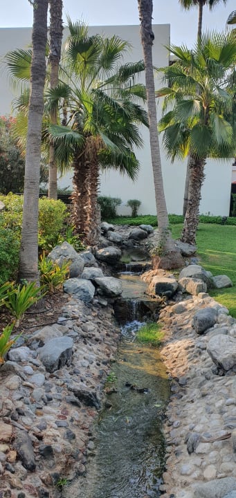 Gartenanlage JA Beach Hotel