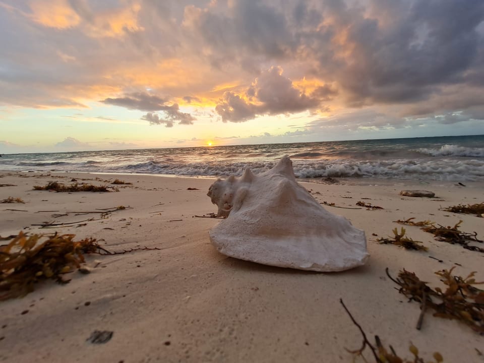 Ausblick Akumal Bay Beach & Wellness Resort