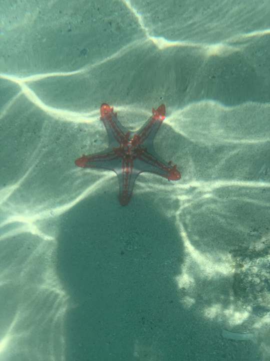 Strand Hotel Riu Palace Zanzibar