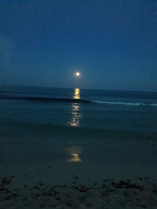 Strand Hipotels Mediterraneo Club