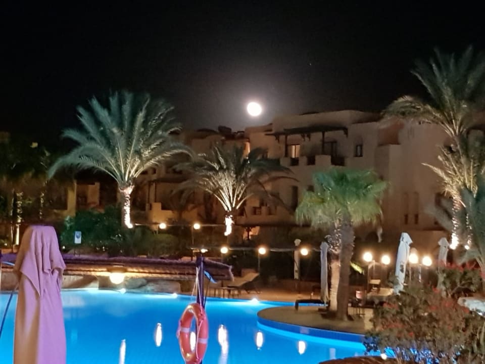 Pool Steigenberger Coraya Beach - Adults only