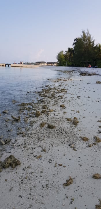 Strand Summer Island Maldives