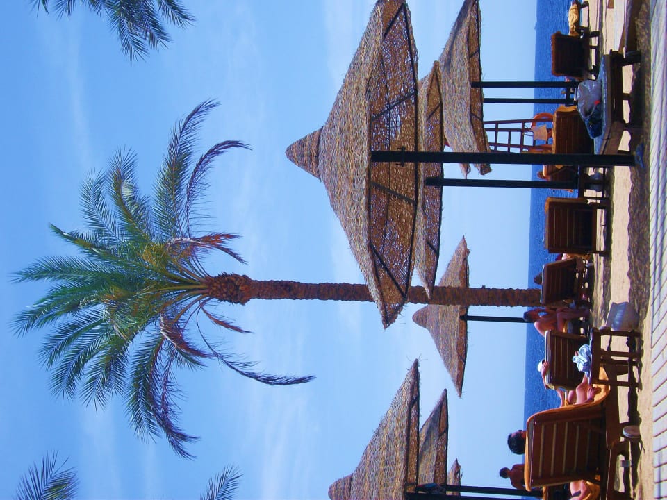 Unter Palmen The Grand Hotel Sharm El Sheikh