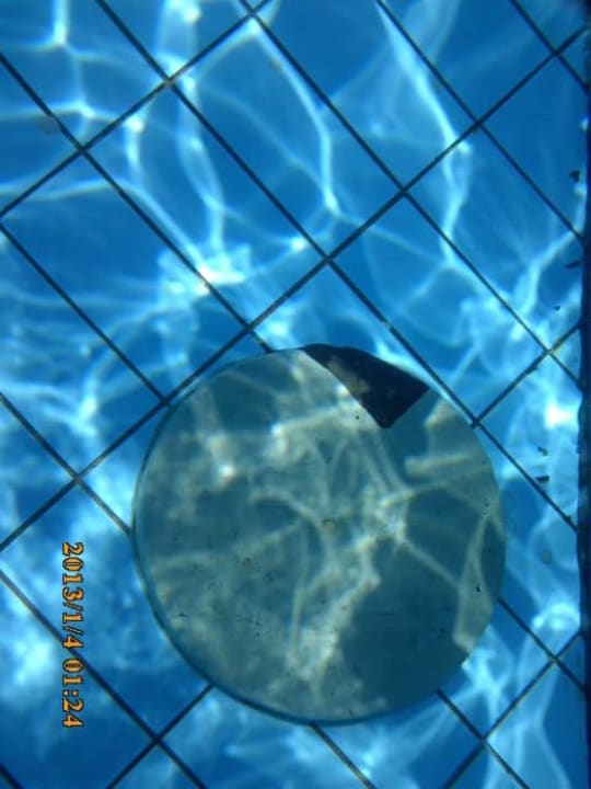 Pool Siva Sharm