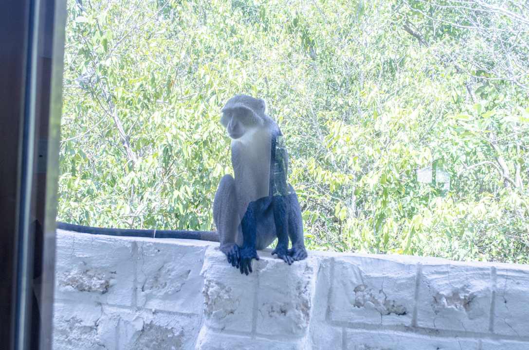 Nature Lotfa Resort Diani Beach Road