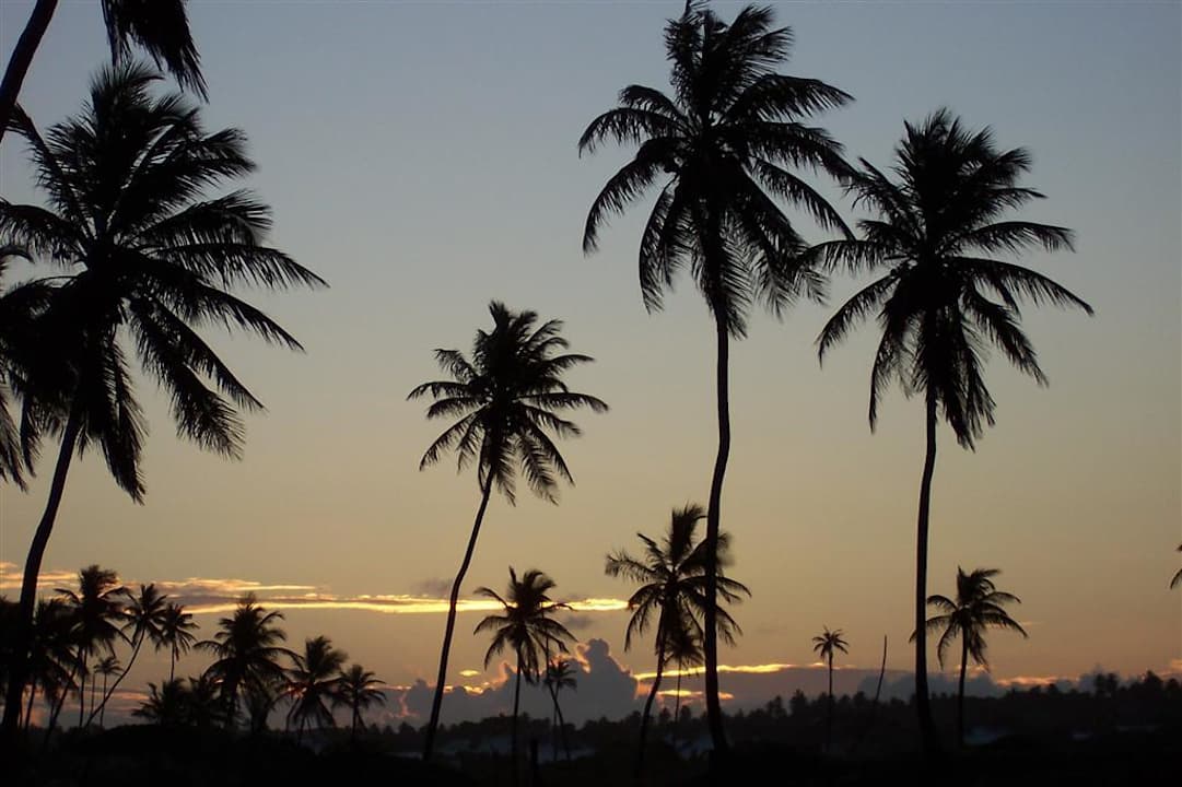 Sonnenuntergang Hotel Costa do Sauípe Park