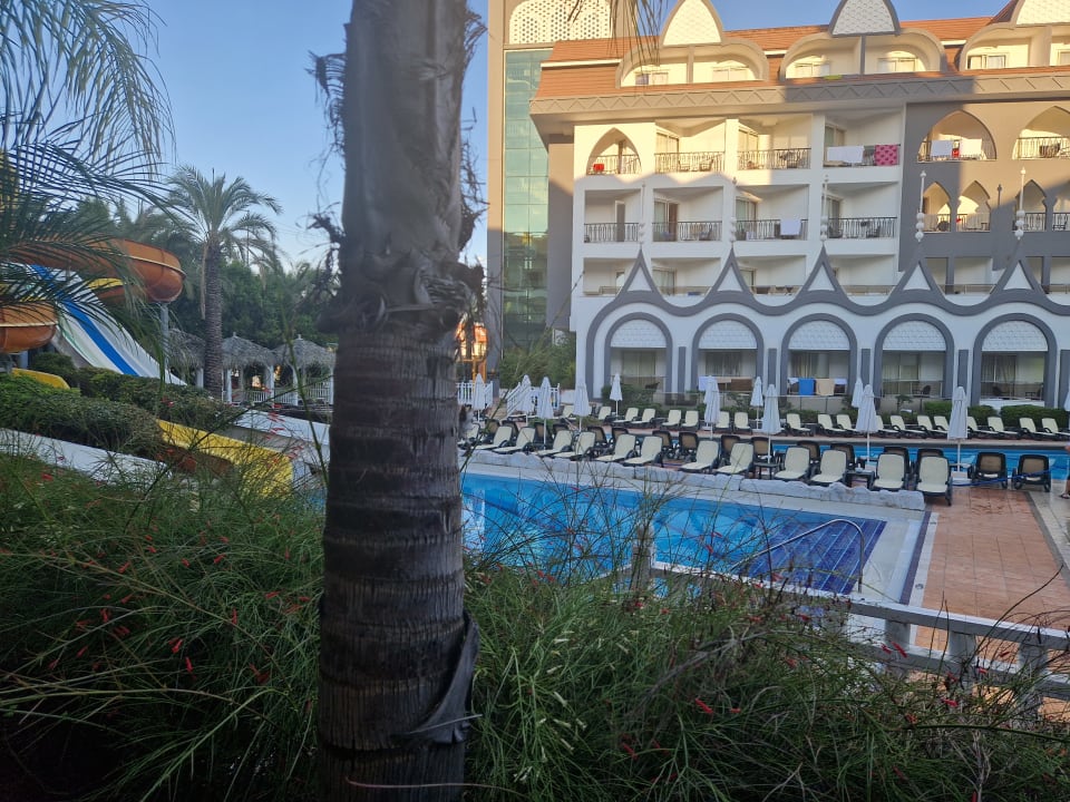 Pool Well Palace Side