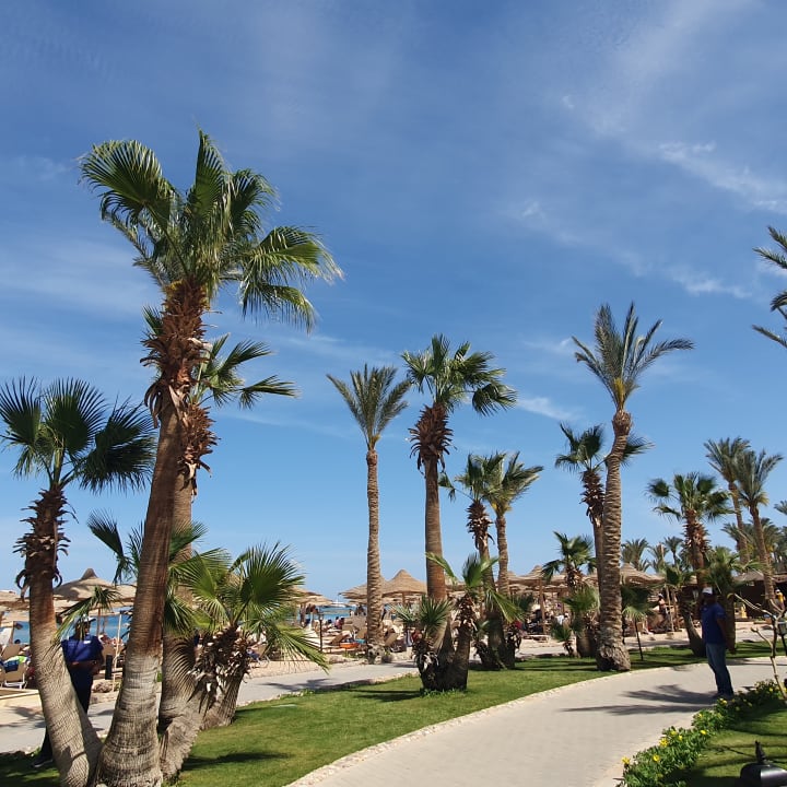 Gartenanlage Jaz Makadi Oasis Resort