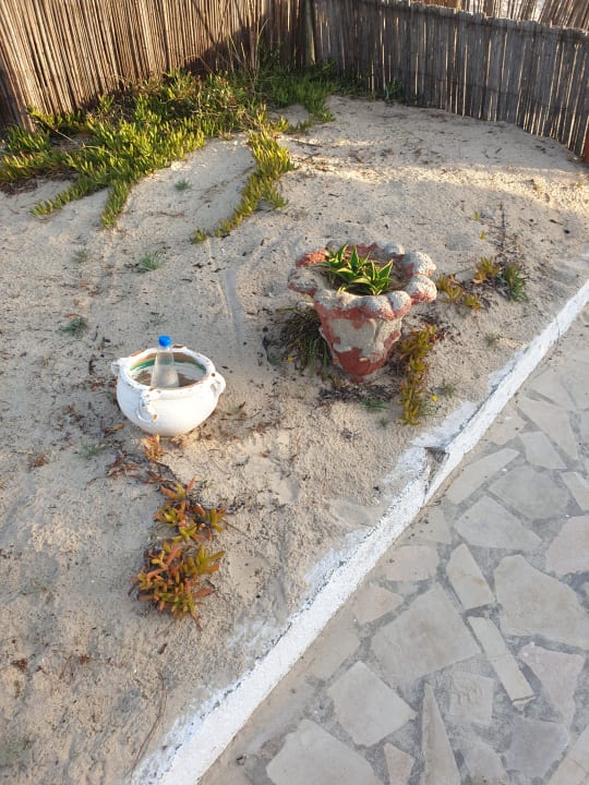 Sonstiges Hotel Club Tropicana & Spa