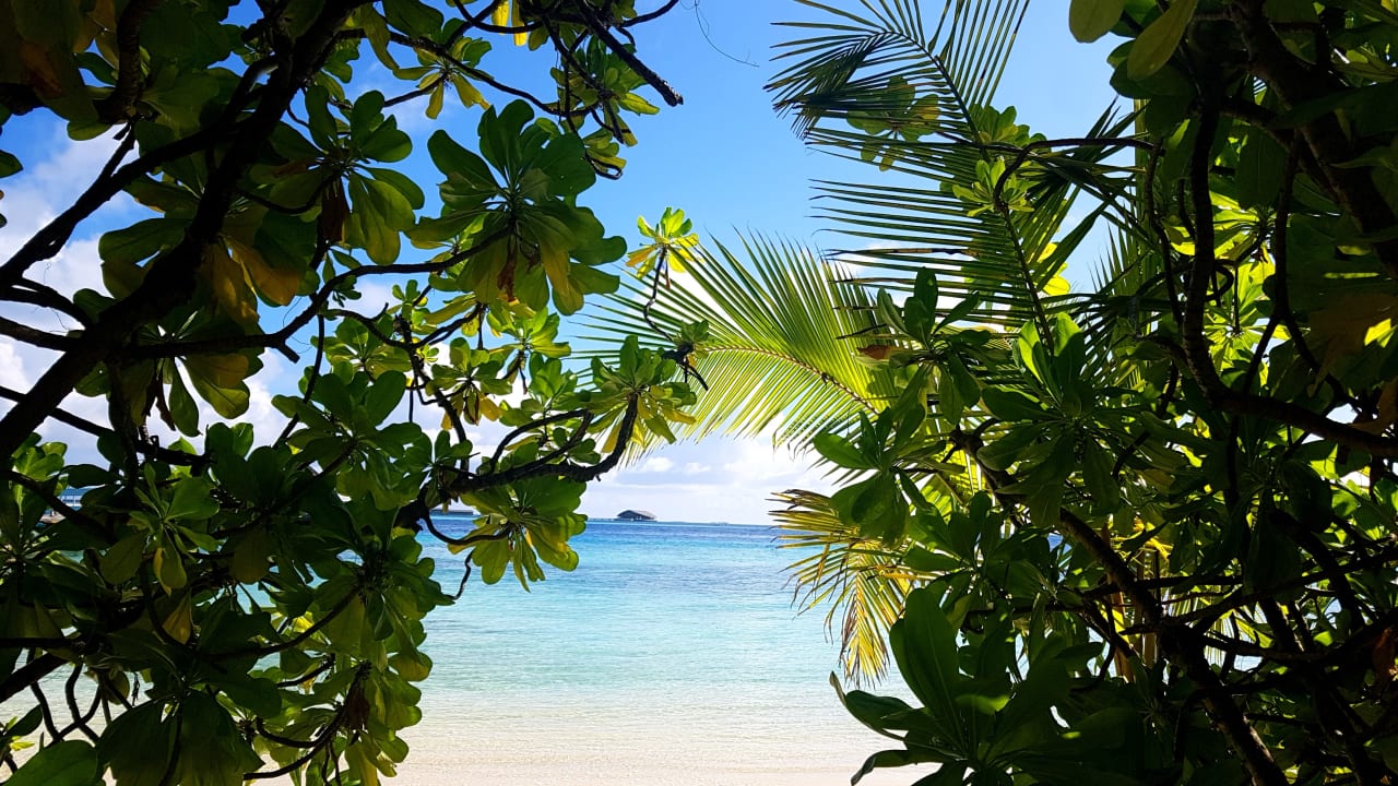 Gartenanlage Komandoo Island Resort & Spa - Adults only