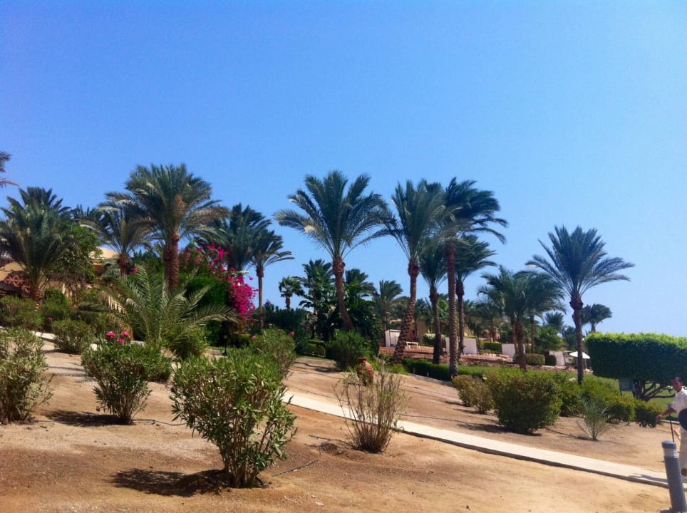 An der Beachbar Steigenberger Coraya Beach - Adults only