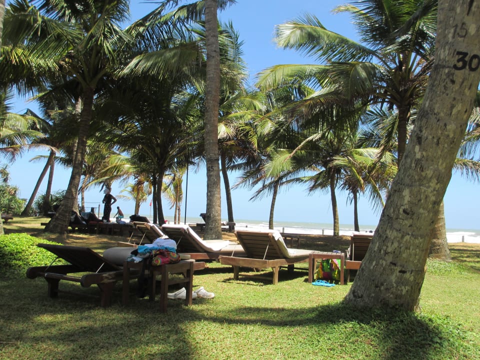 Liegen im Garten Mermaid Hotel & Club