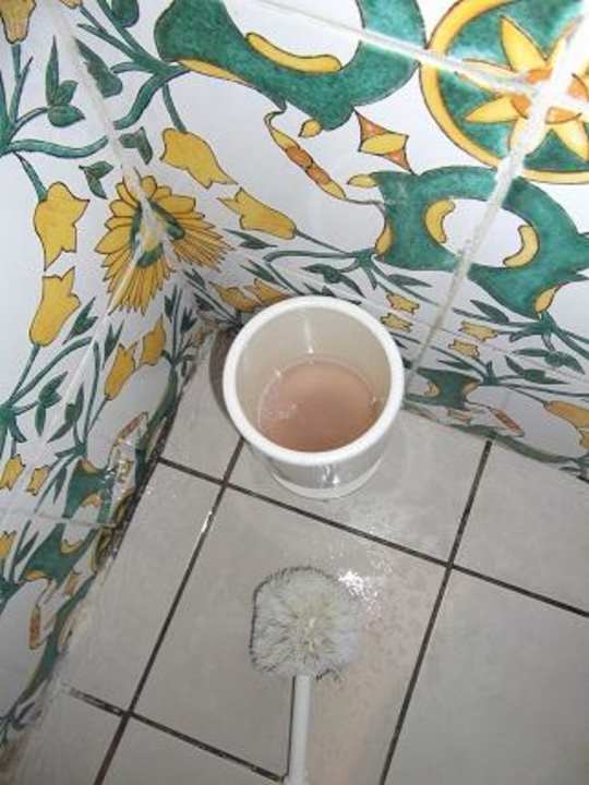 Dreck Alassio Hotel and Thalasso