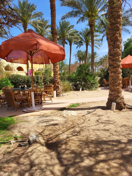 Gastro Makadi Palace