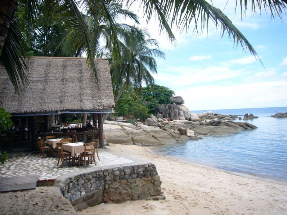 Sensi Paradise Sensi Paradise Beach Resort