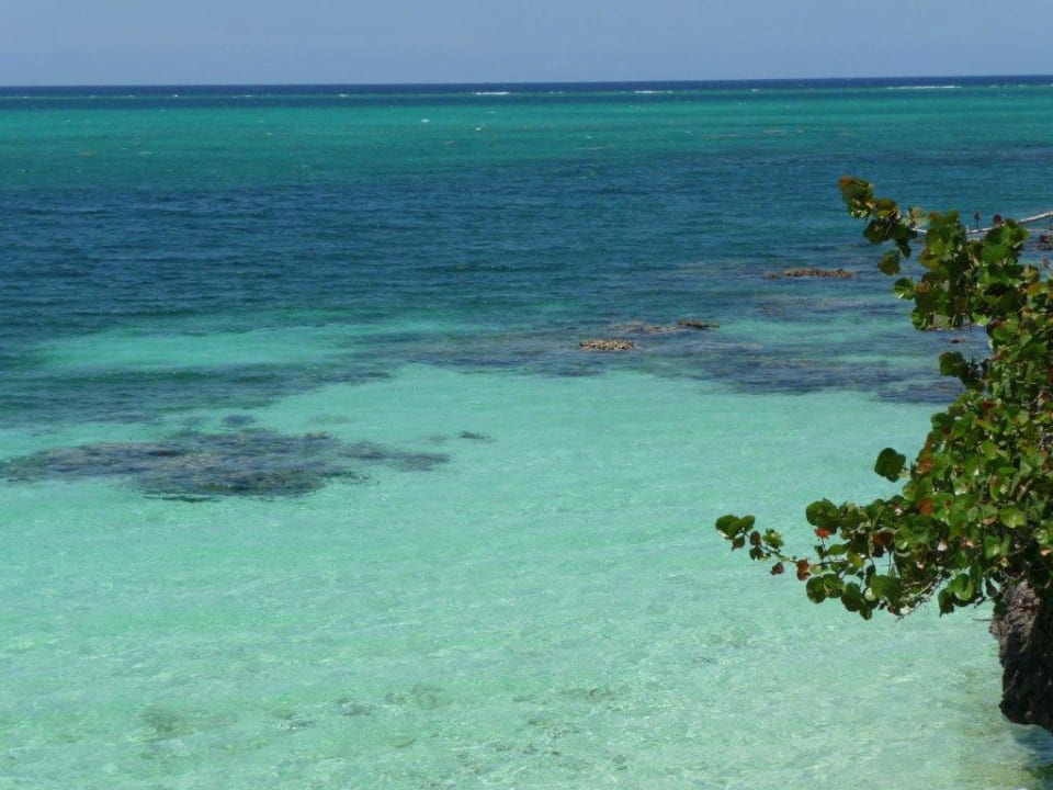 Strand Paradisus Rio de Oro Resort & Spa - Adults only